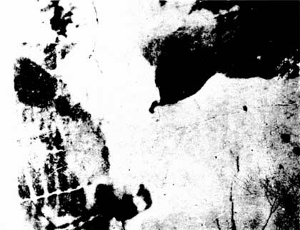 Abstract black-and-white image used as a perception test known as the Dallenbach Cow