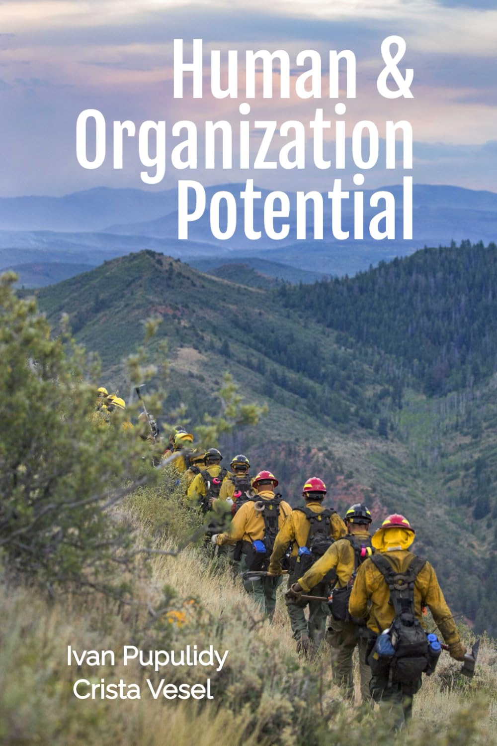 Human & Organization Potential by Ivan Pupulidy Crista Vesel Book Cover