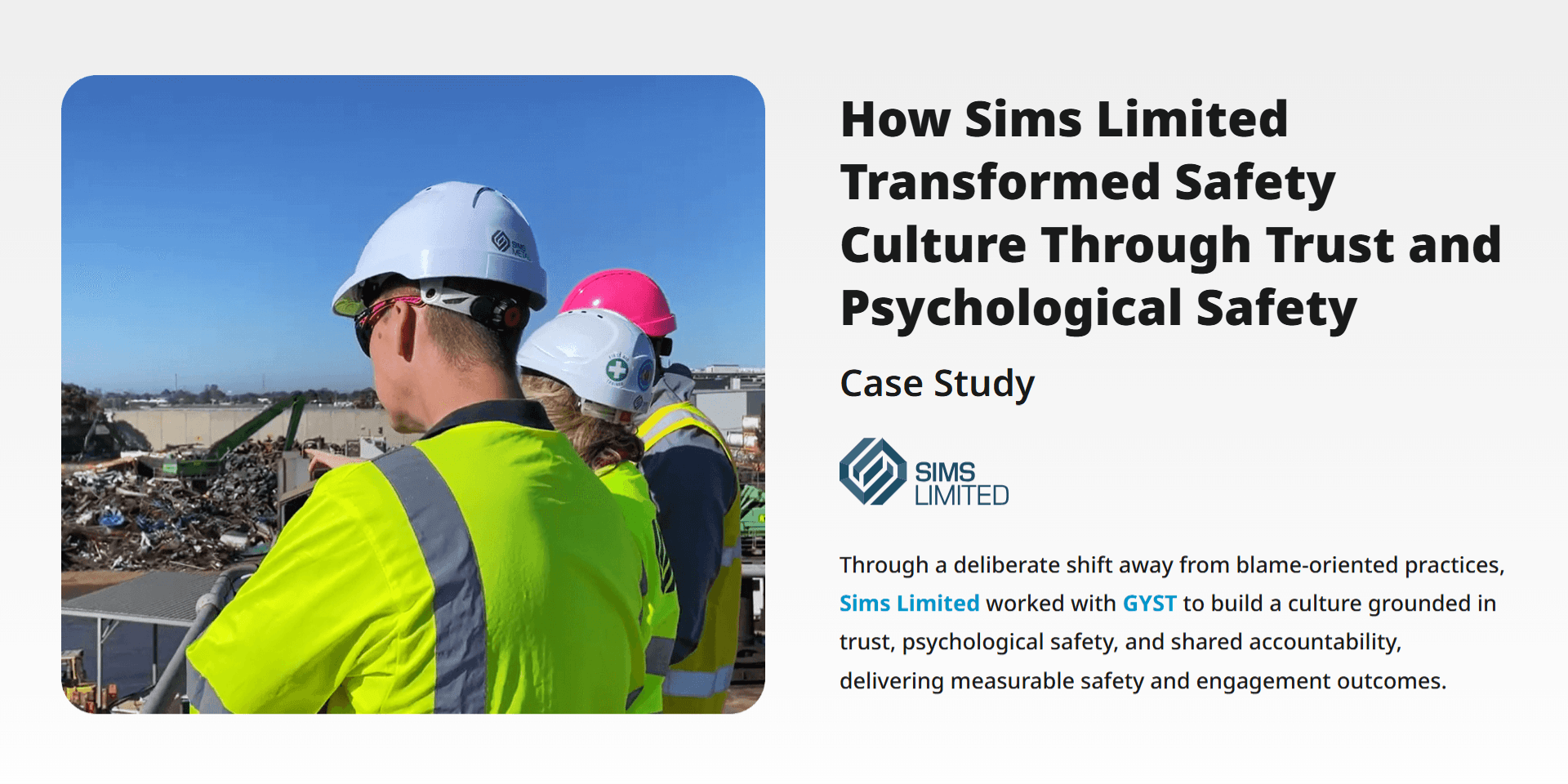 Sims Limited Case Study Preview